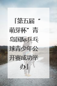 第五届“萌芽杯”青岛国际乒乓球青少年公开赛成功举办
