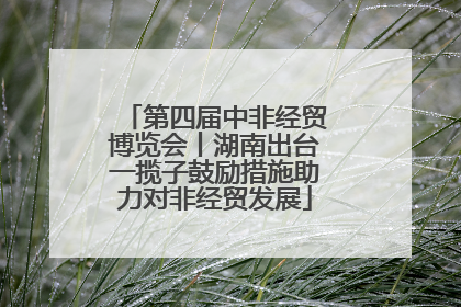 第四届中非经贸博览会丨湖南出台一揽子鼓励措施助力对非经贸发展