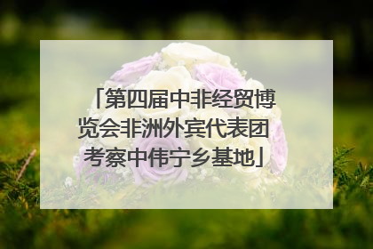 第四届中非经贸博览会非洲外宾代表团考察中伟宁乡基地