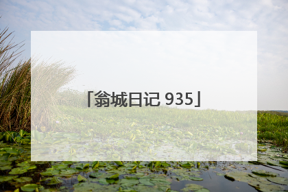 翁城日记 935