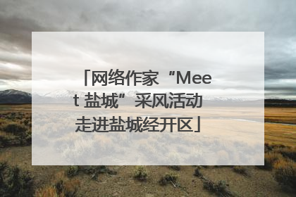网络作家“Meet 盐城”采风活动走进盐城经开区