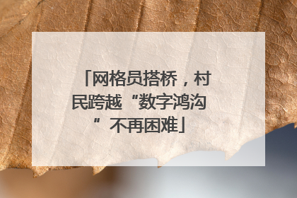 网格员搭桥，村民跨越“数字鸿沟”不再困难
