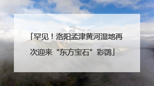 罕见！洛阳孟津黄河湿地再次迎来“东方宝石”彩鹮