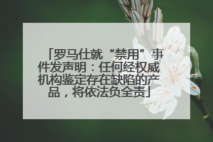 罗马仕就“禁用”事件发声明：任何经权威机构鉴定存在缺陷的产品，将依法负全责