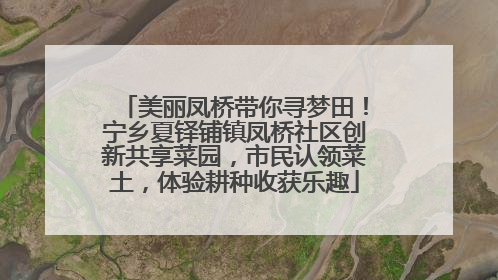 美丽凤桥带你寻梦田！宁乡夏铎铺镇凤桥社区创新共享菜园，市民认领菜土，体验耕种收获乐趣