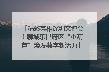 精彩亮相深圳文博会！聊城东昌府区“小葫芦”焕发数字新活力