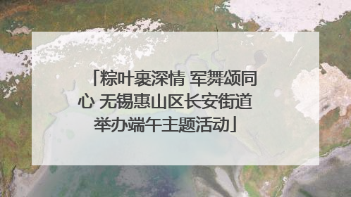 粽叶裹深情 军舞颂同心 无锡惠山区长安街道举办端午主题活动