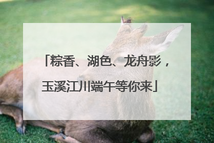 粽香、湖色、龙舟影，玉溪江川端午等你来