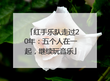 红手乐队走过20年：五个人在一起，继续玩音乐