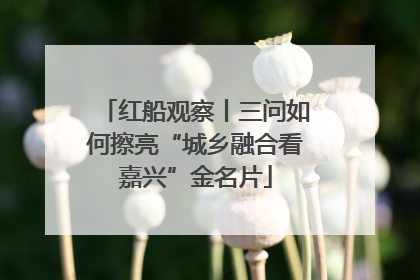 红船观察丨三问如何擦亮“城乡融合看嘉兴”金名片