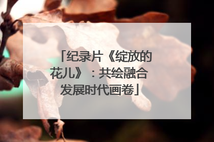 纪录片《绽放的花儿》：共绘融合发展时代画卷