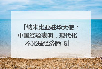 纳米比亚驻华大使：中国经验表明，现代化不光是经济腾飞
