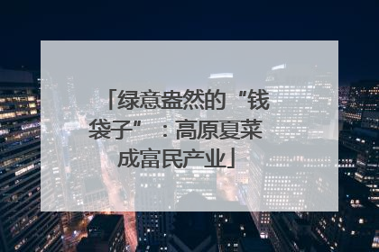 绿意盎然的“钱袋子”：高原夏菜成富民产业