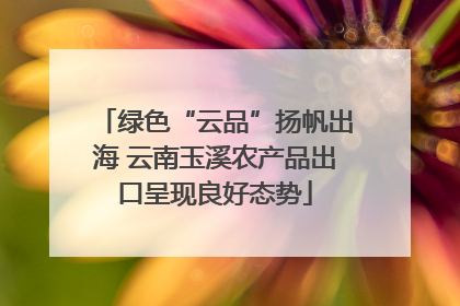 绿色“云品”扬帆出海 云南玉溪农产品出口呈现良好态势