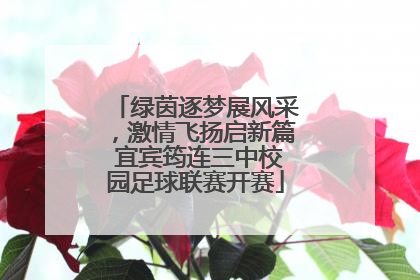 绿茵逐梦展风采，激情飞扬启新篇 宜宾筠连三中校园足球联赛开赛
