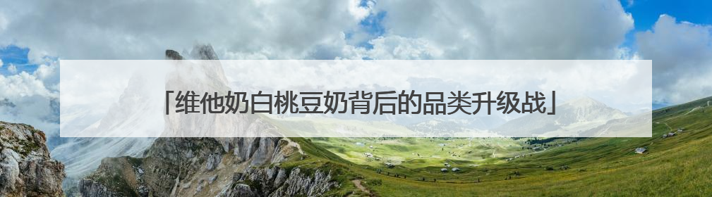 维他奶白桃豆奶背后的品类升级战