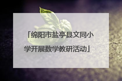 绵阳市盐亭县文同小学开展数学教研活动