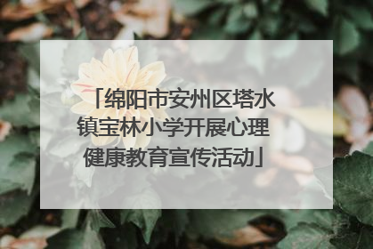 绵阳市安州区塔水镇宝林小学开展心理健康教育宣传活动