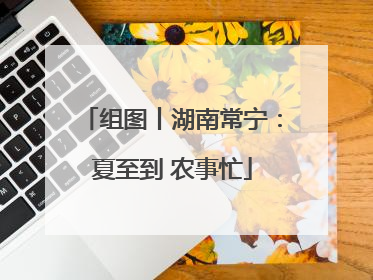 组图丨湖南常宁：夏至到 农事忙