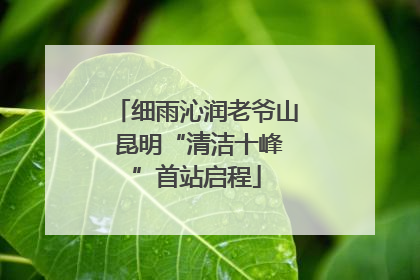 细雨沁润老爷山 昆明“清洁十峰”首站启程