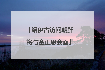 绍伊古访问朝鲜 将与金正恩会面