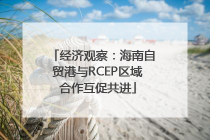 经济观察：海南自贸港与RCEP区域合作互促共进