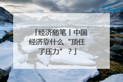 经济随笔丨中国经济靠什么“顶住了压力”？