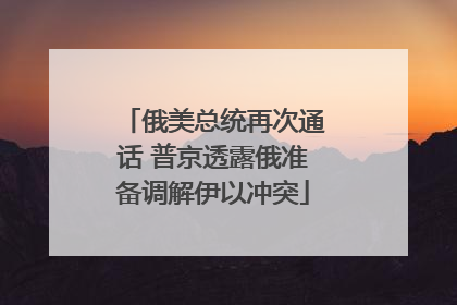 俄美总统再次通话 普京透露俄准备调解伊以冲突