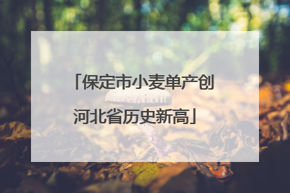 保定市小麦单产创河北省历史新高