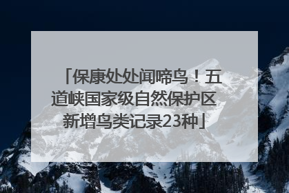 保康处处闻啼鸟！五道峡国家级自然保护区新增鸟类记录23种