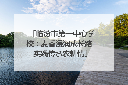 临汾市第一中心学校：麦香浸润成长路 实践传承农耕情