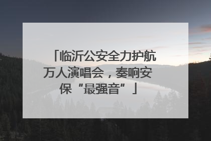 临沂公安全力护航万人演唱会，奏响安保“最强音”