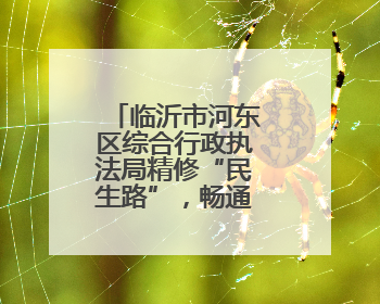 临沂市河东区综合行政执法局精修“民生路”，畅通“幸福线”