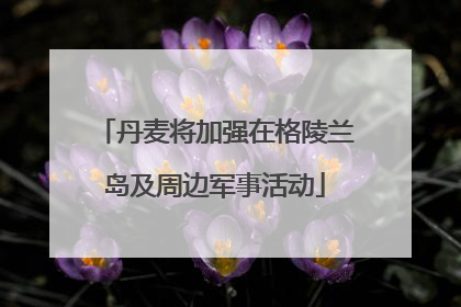 丹麦将加强在格陵兰岛及周边军事活动