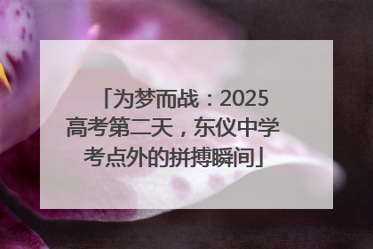 为梦而战：2025高考第二天，东仪中学考点外的拼搏瞬间