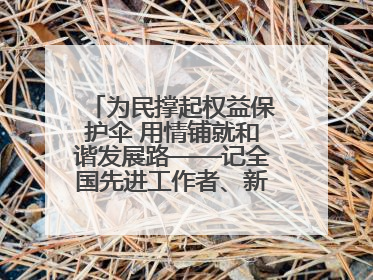 为民撑起权益保护伞 用情铺就和谐发展路——记全国先进工作者、新区项目建设中心干部卢小勇