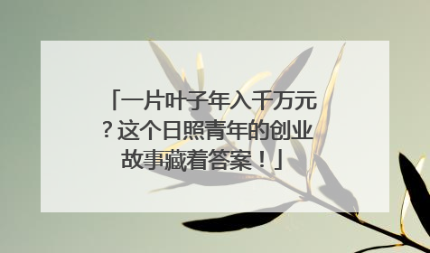 一片叶子年入千万元？这个日照青年的创业故事藏着答案！