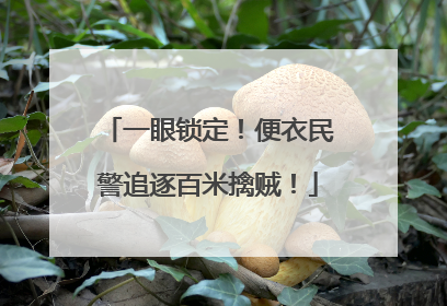 一眼锁定！便衣民警追逐百米擒贼！
