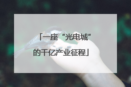 一座“光电城”的千亿产业征程