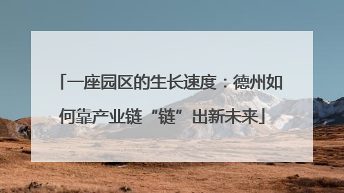 一座园区的生长速度：德州如何靠产业链“链”出新未来