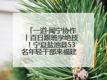 一道·闽宁协作丨百日跟班学绝技！宁夏盐池县53名年轻干部来福建取“真经”
