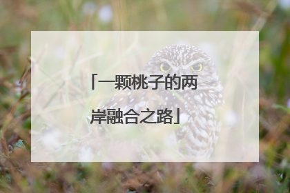 一颗桃子的两岸融合之路