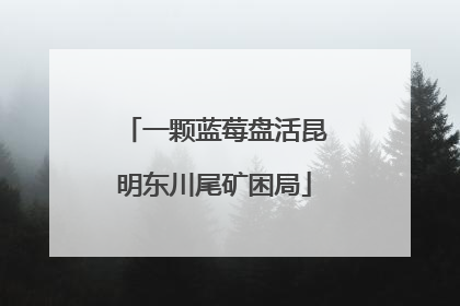 一颗蓝莓盘活昆明东川尾矿困局