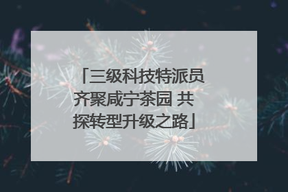 三级科技特派员齐聚咸宁茶园 共探转型升级之路