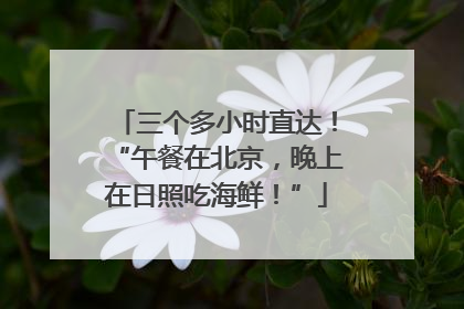三个多小时直达！“午餐在北京，晚上在日照吃海鲜！”