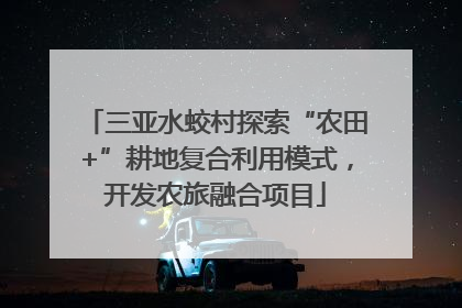 三亚水蛟村探索“农田+”耕地复合利用模式，开发农旅融合项目