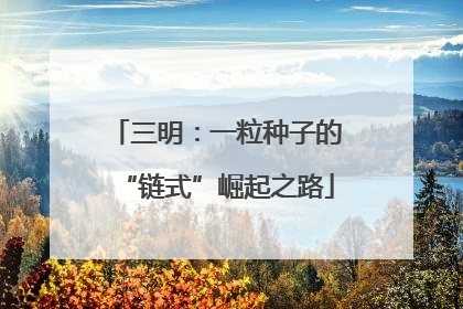三明：一粒种子的“链式”崛起之路