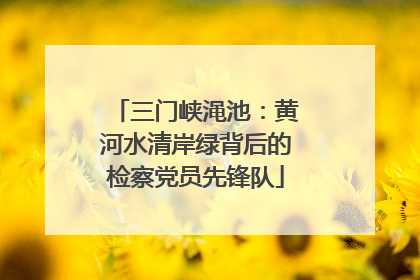 三门峡渑池：黄河水清岸绿背后的检察党员先锋队