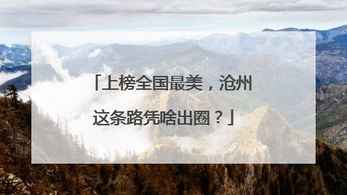 上榜全国最美，沧州这条路凭啥出圈？
