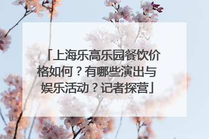 上海乐高乐园餐饮价格如何？有哪些演出与娱乐活动？记者探营